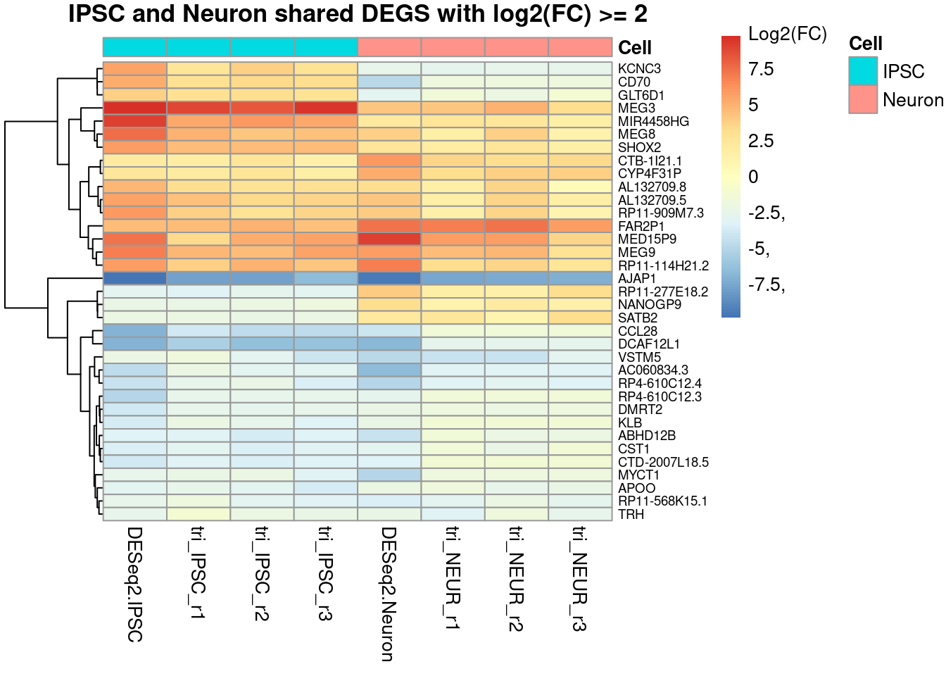 Heatmap showing the fold changes of the Trisomic vs Disomic comparisons for both cell types. The shown genes are all shared DEGS (the 96 shown in the Venn-diagrams) but also filtered for an absolute log2(FC) value of >2.