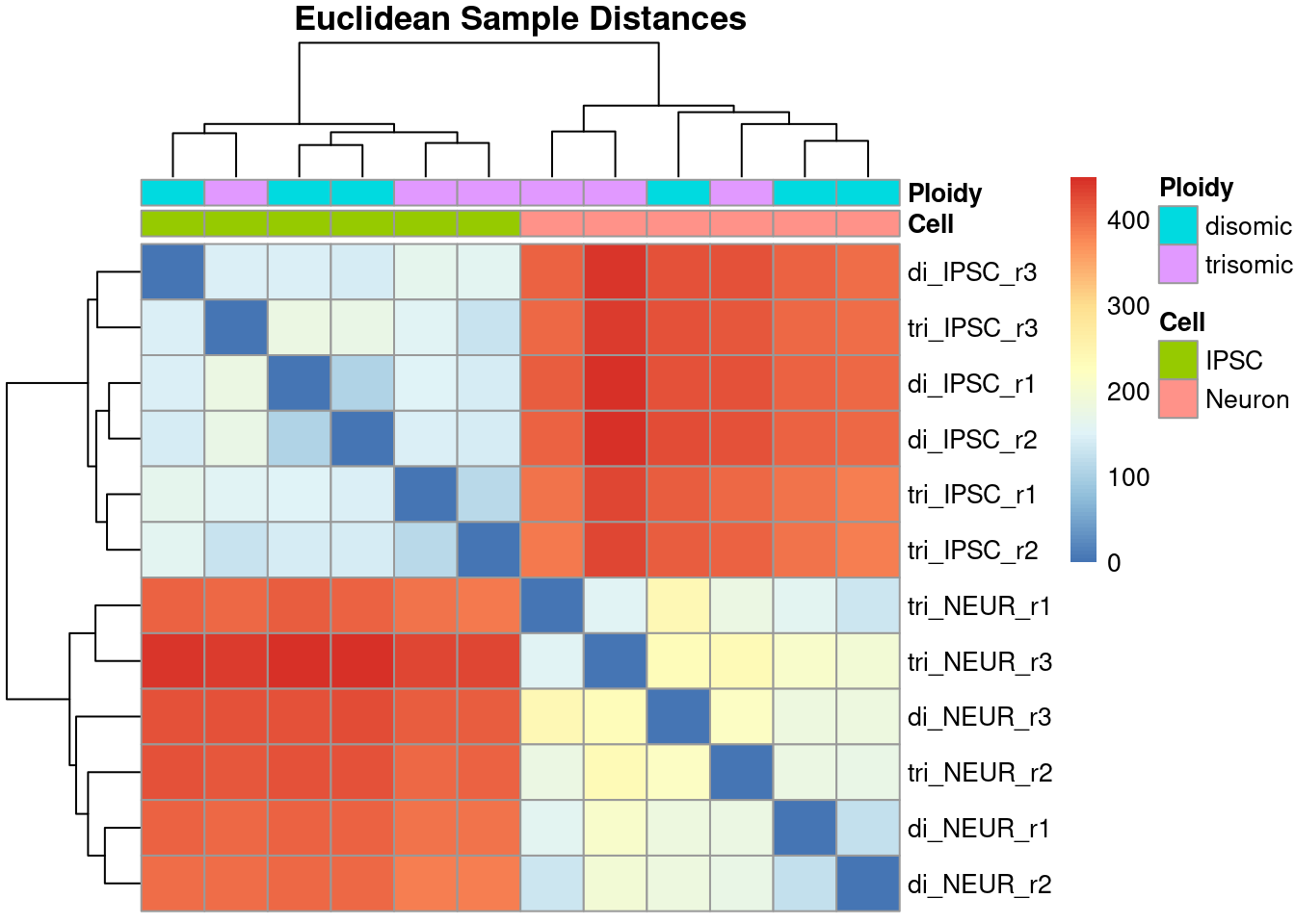 Heatmap showing the Euclidean distances between all samples